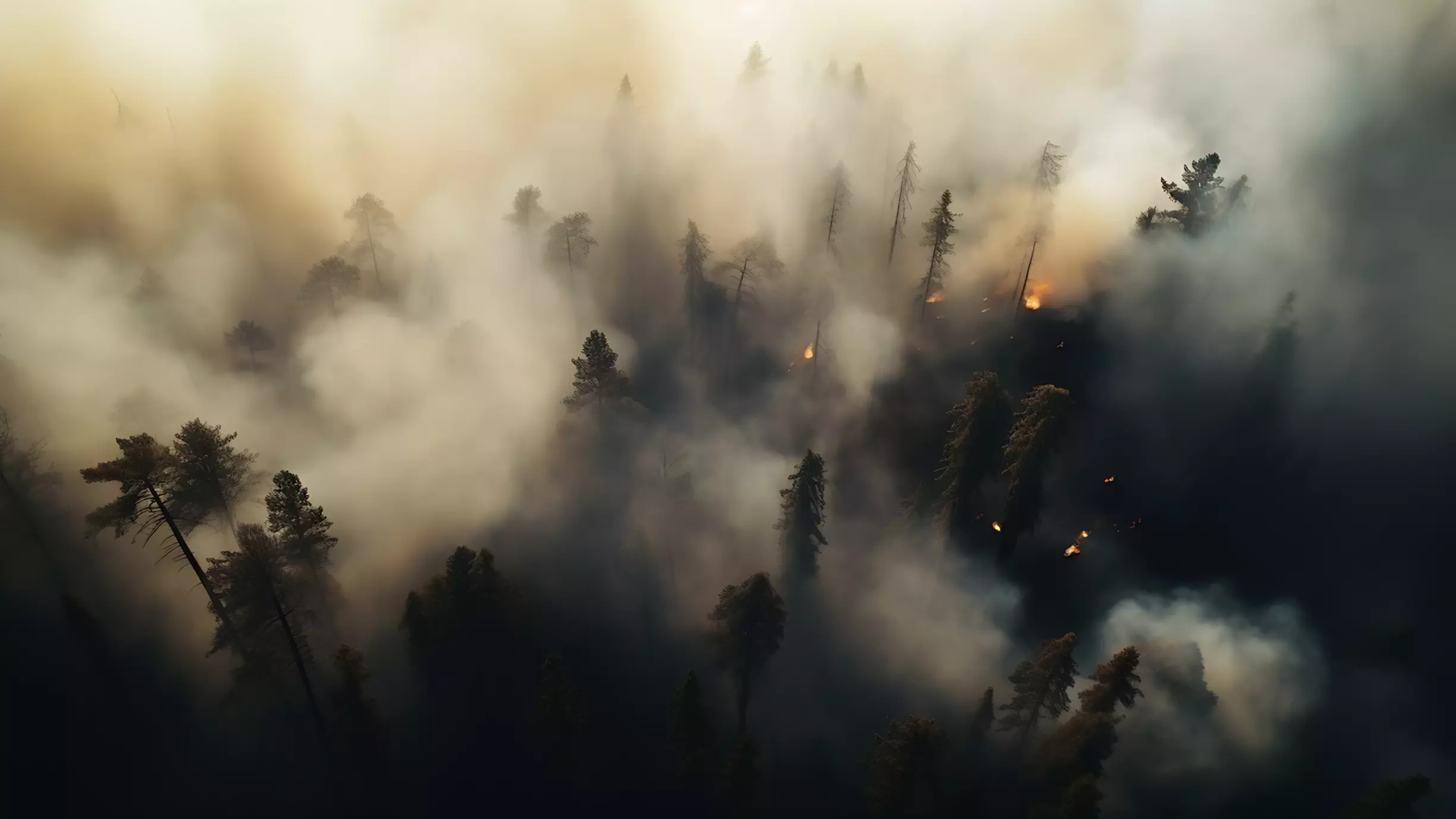 В лесах ХМАО зафиксированы первые весенние пожары