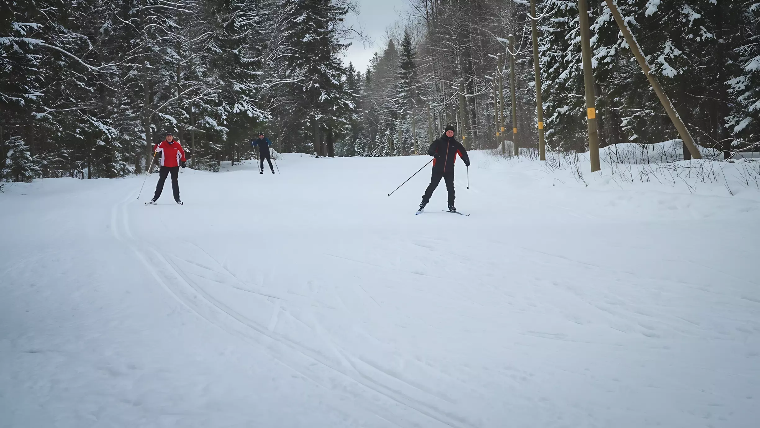Россиян обязали оплатить своё участие в лыжном марафоне Югры